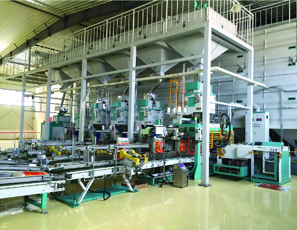 Automatic in-out warehouse conveying system